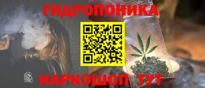 прущие крисы Железногорск