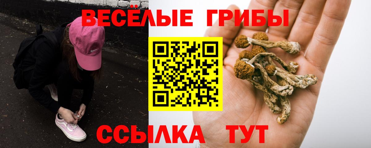 Нижний Новгород  Галлюциногенные грибы ЛСД  Псилоцибиновые грибы GOLDEN TEACHER  Вход с VPN 